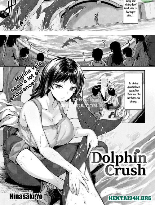 Dolphin Crush